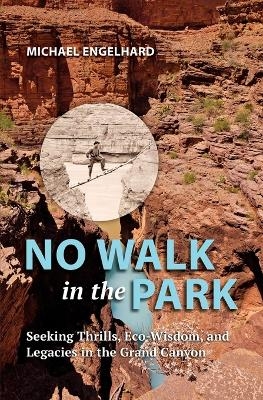 No Walk in the Park - Michael Engelhard