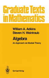 Algebra - William A. Adkins, Steven H. Weintraub