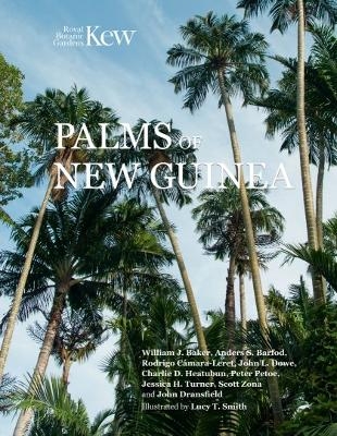 Palms of New Guinea - 