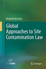 Global Approaches to Site Contamination Law - Elizabeth Brandon