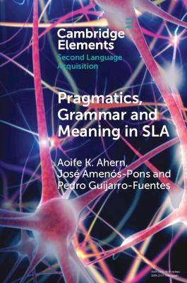 Pragmatics, Grammar and Meaning in SLA - Aoife K. Ahern, José Amenós-Pons, Pedro Guijarro-Fuentes