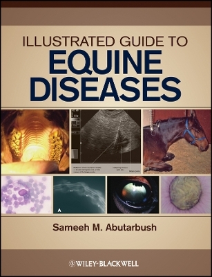 Illustrated Guide to Equine Diseases - SM Abutarbush