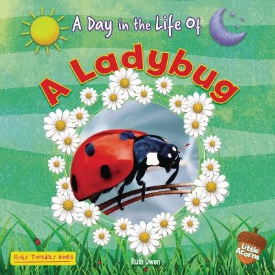 A Ladybug - Ruth Owen