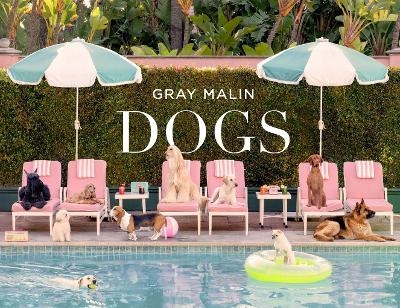 Gray Malin: Dogs - Gray Malin