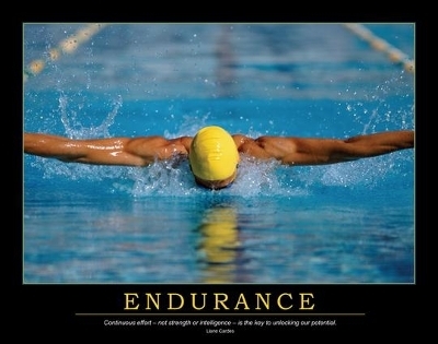Endurance Poster -  Enna