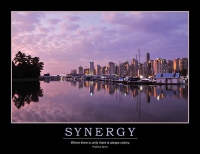 Synergy Poster -  Enna