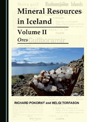 Mineral Resources in Iceland Volume II - Richard Pokorný, Helgi Torfason