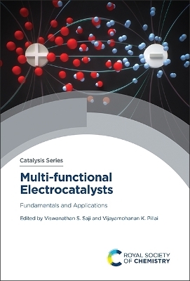 Multi-functional Electrocatalysts - 