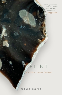 Flint - Joanne Bourne