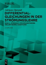 Differentialgleichungen in der Strömungslehre - Adriano Oprandi