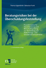 Beratungsrisiken bei der Überschuldungsfeststellung - Uppenbrink, Thomas; Frank, Sebastian