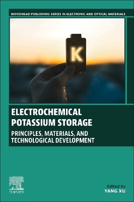 Electrochemical Potassium Storage - 