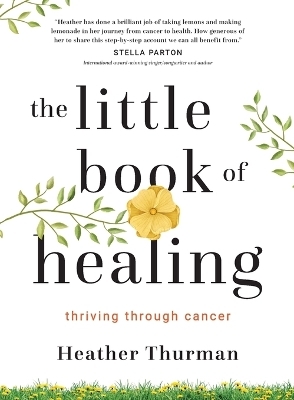 The Little Book of Healing - Heather Thurman