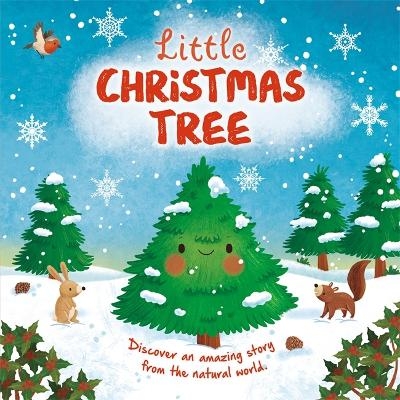 Little Christmas Tree -  Autumn Publishing
