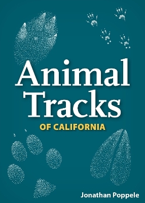Animal Tracks of California Playing Cards - Jonathan Poppele