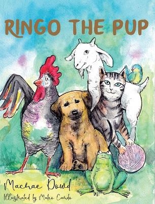 Ringo The Pup - MacRae Dowd