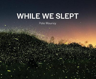 While We Slept - Pete Mauney