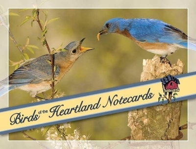 Birds of the Heartland Notecards - 