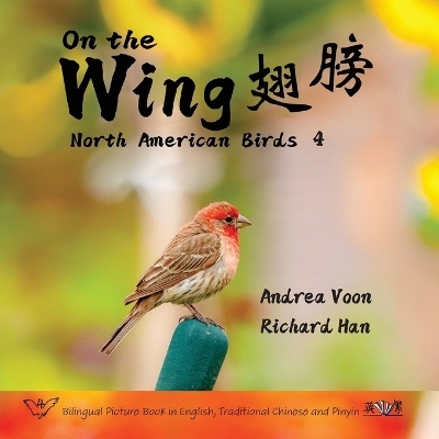 On the Wing 翅膀 - North American Birds 4 - Andrea Voon
