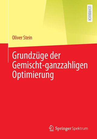 Grundzüge der Gemischt-ganzzahligen Optimierung