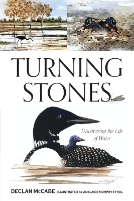 Turning Stones - Declan McCabe