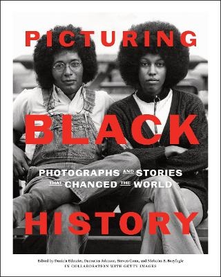 Picturing Black History - Daniela Edmeier, Damarius Johnson, Nicholas B. Breyfogle, Steven Conn