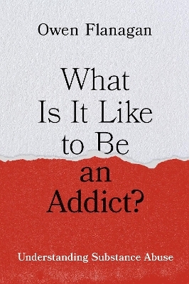 What Is It Like to Be an Addict? - Owen Flanagan