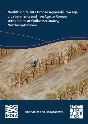 Neolithic Pits, Late Bronze Age/Early Iron Age Pit Alignments and Iron Age to Roman Settlements at Wollaston Quarry, Northamptonshire - Rob Atkins, Ian Meadows