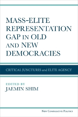 Mass-Elite Representation Gap in Old and New Democracies - 