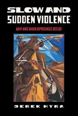 Slow and Sudden Violence - Derek Hyra