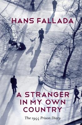 A Stranger in My Own Country - Hans Fallada