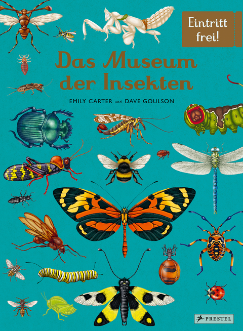 Das Museum der Insekten - Dave Goulson, Emily Carter