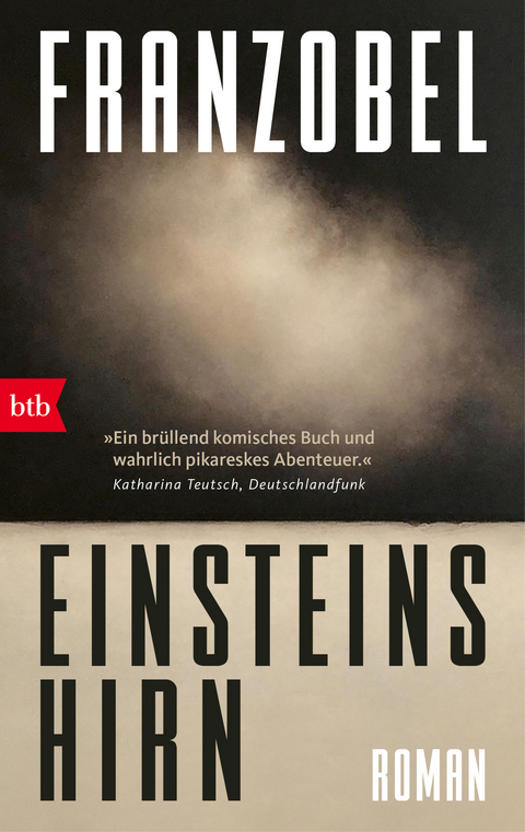 Einsteins Hirn -  Franzobel
