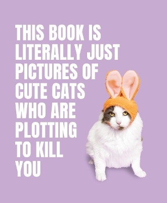 This Book is Literally Just Pictures of Cute Cats Who Are Plotting to Kill You - 