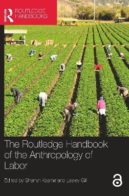 The Routledge Handbook of the Anthropology of Labor - 