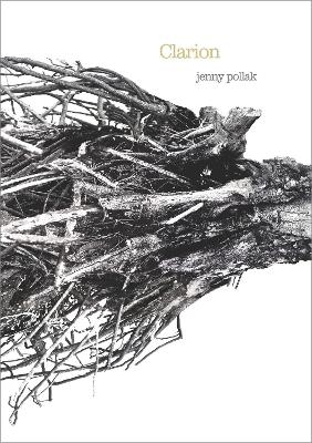 Clarion - Jenny Pollak