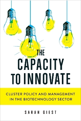 The Capacity to Innovate - Sarah Giest