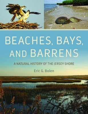 Beaches, Bays, and Barrens - Eric G. Bolen