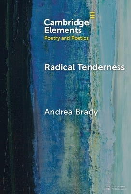 Radical Tenderness - Andrea Brady