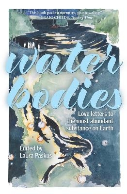 Water Bodies - Aaron A Abeyta, Christi Bode, Cmarie Fuhrman, Sarah Gilman