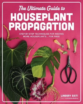 The Ultimate Guide to Houseplant Propagation - Lindsay Sisti