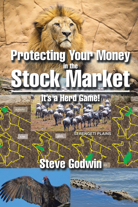 Protecting Your Money in the Stock Market -  Steve Godwin