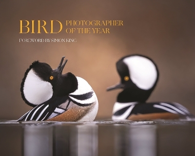 Bird Photographer of the Year - 