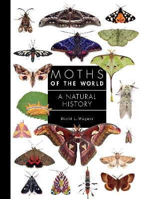Moths of the World - David Wagner