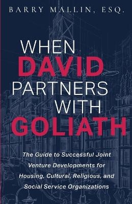When David Partners with Goliath - Barry Mallin