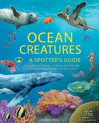 Ocean Creatures - Sabrina Weiss