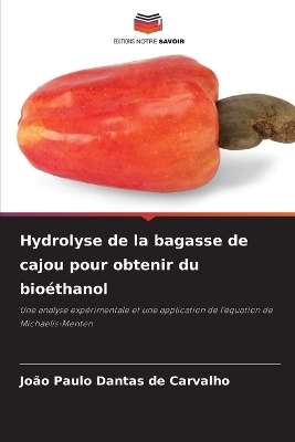 Hydrolyse de la bagasse de cajou pour obtenir du bio�thanol - Jo�o Paulo Dantas de Carvalho