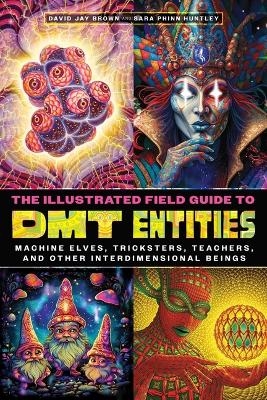 The Illustrated Field Guide to DMT Entities - David Jay Brown, Sara Phinn Huntley