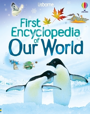 First Encyclopedia of Our World - Felicity Brooks