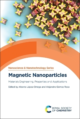 Magnetic Nanoparticles - 